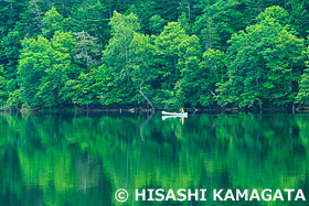 チミケップ湖　カヌー　北海道　7月