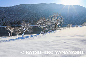 雪の北竜湖　長野県　12月