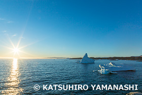 イルリサットの沈まぬ太陽　氷山　グリーンランド　6月