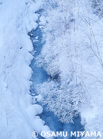 霧氷の美瑛川　北海道　2月