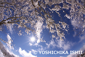 雪の上がった朝  西日塚　静岡県　2月