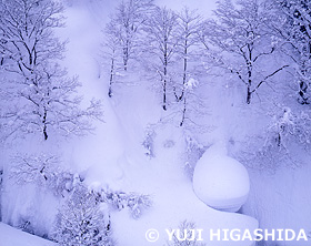 雪景色の森　新潟県　2月