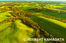 多和平平原　地平線の見える大平原　牧場　牧草　紅葉　ドローン撮影　北海道　10月