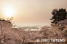 松島と桜