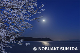 満月と海津大崎の桜