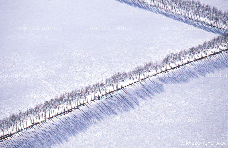 雪原の木立　北海道　3月