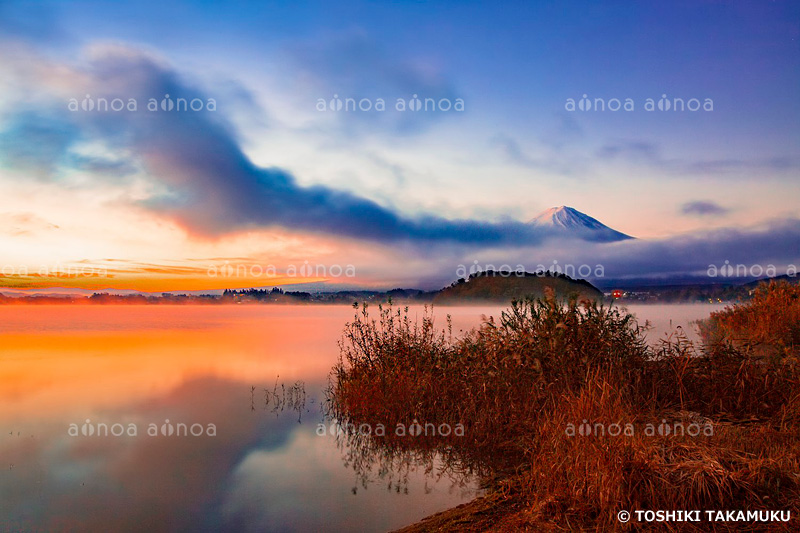 河口湖大石公園付近より夜明けの富士山