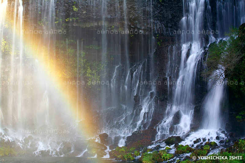 虹の出現した白糸の滝  　静岡県
