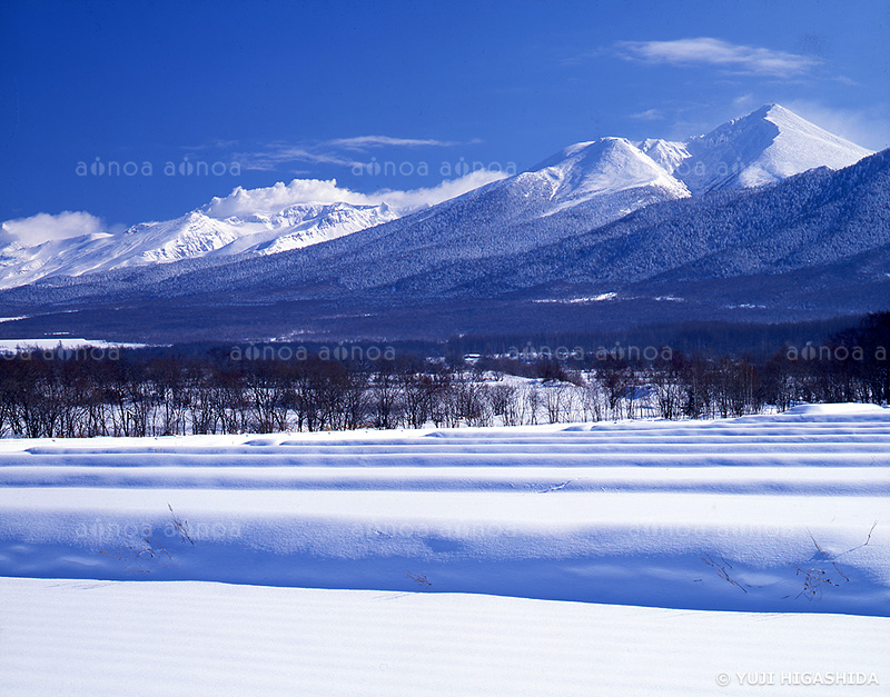 冬の十勝岳連峰　北海道　2月