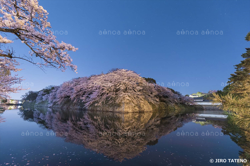 彦根城　滋賀県