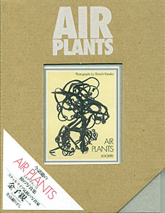 AIR PLANTS